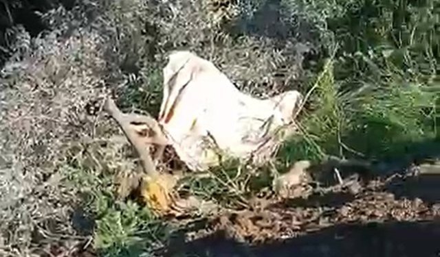 Alanya'da şarampole devrilen kamyonun şoförü öldü