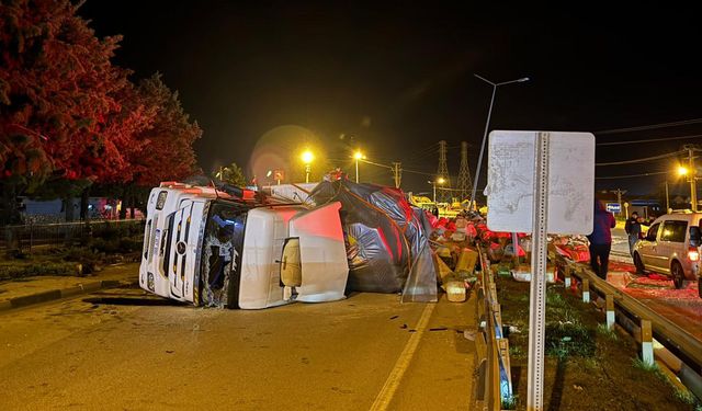 Devrilen TIR'ın sürücüsü yaralandı