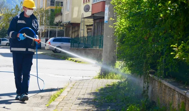 Bu ili kokarcalar istila etti