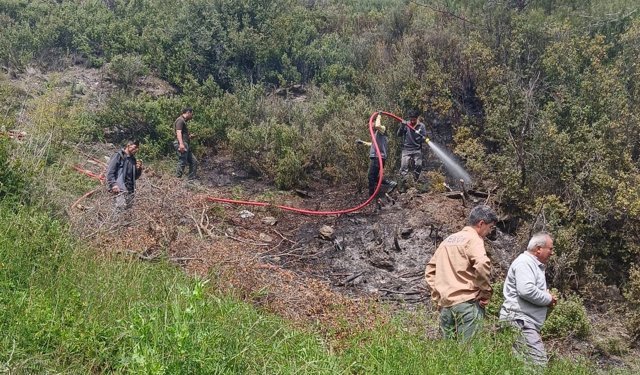 Alanya'da makilik yangını büyümeden söndürüldü