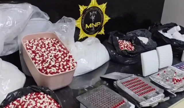 Mersin'de tonlarca sentetik ecza hammaddesi ele geçirildi