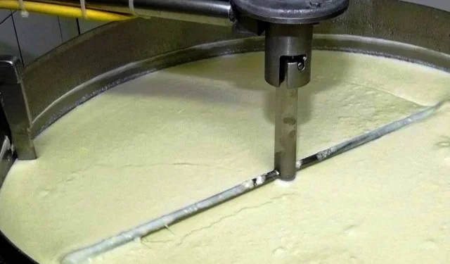 Süt ürünlerinde üretim artışı sürdü... Yoğurt üretimi liste başında