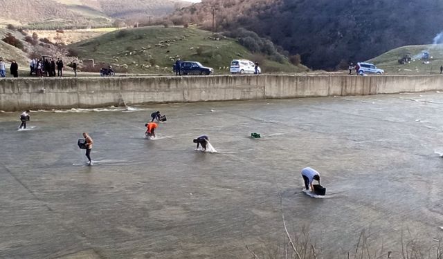 Taşan barajdan çuval ve kasayla balık yakaladılar