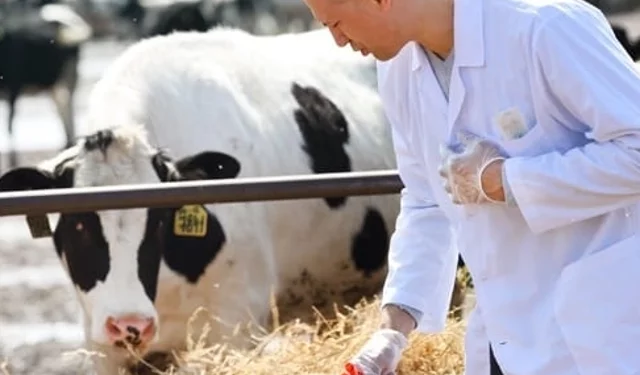 Tarımda maliyet baskısı sürüyor... Girdi fiyatları veteriner harcamaları yine zirvede