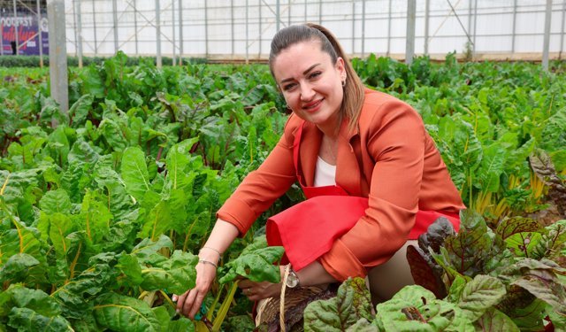 Antalya FoodFest Gastronomi Festivali'nde hasat etkinliği