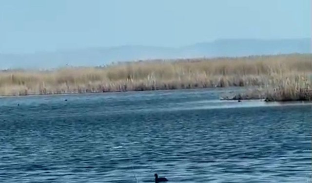 Eber Gölü'nde su seviyesi yükseldi