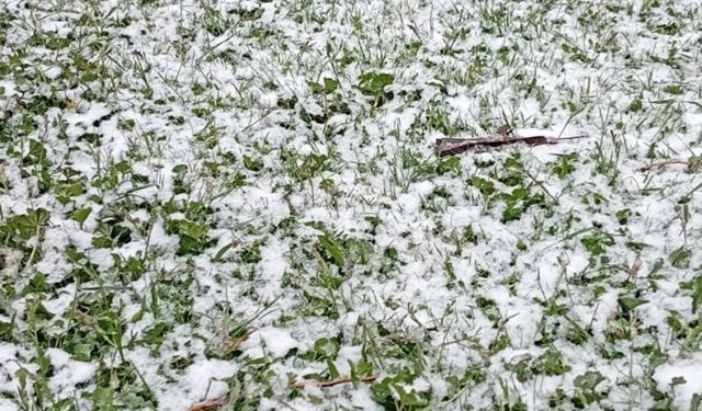 Hocalar'da mayıs ayında kar sürprizi: Bulkaz Dağı beyaza büründü