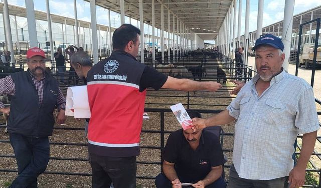 Serik'te kurbanlık satış yerlerinde denetim