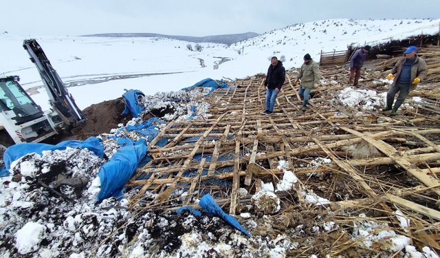 Yağış nedeniyle ağıl çöktü: 6 koyun öldü