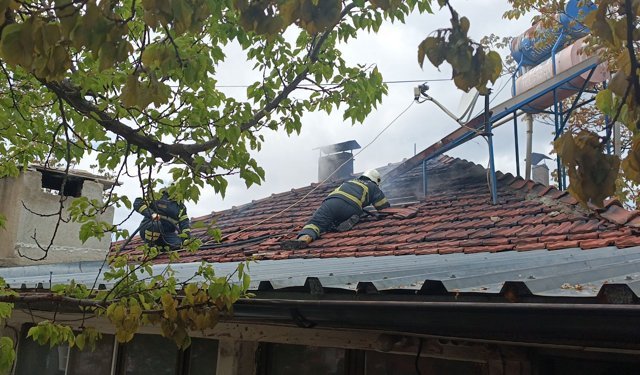 Yangında evde kalan kediyi itfaiye kurtardı