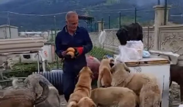 Kendini öğrencilere ve patili canlara adadı