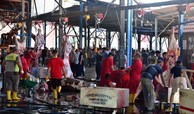 Sokakta kurban kesip, atıklarını gömenlere 29 bin 529 lira ceza