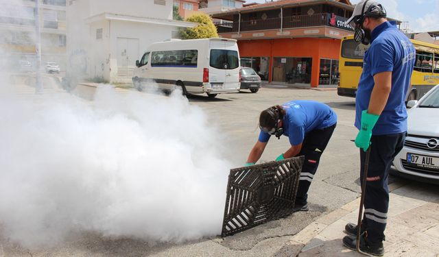 Antalya'nın 19 ilçesinde vektörle yoğun mücadele