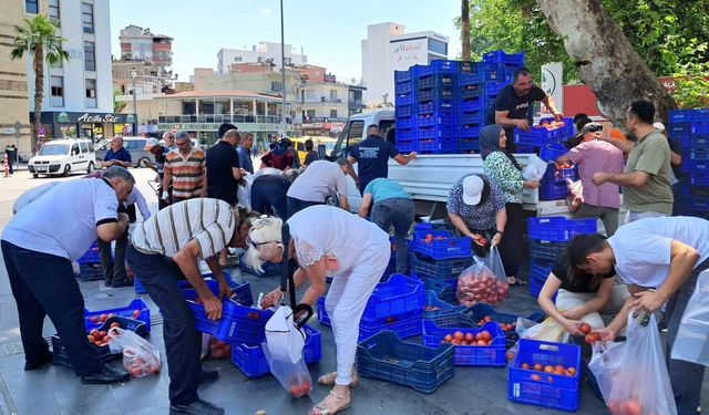 Antalya'da alıcı bulamadığı 4 ton domatesi ücretsiz dağıttı
