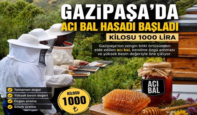 Gazipaşa'da acı bal hasadı başladı: Kilosu 1000 lira