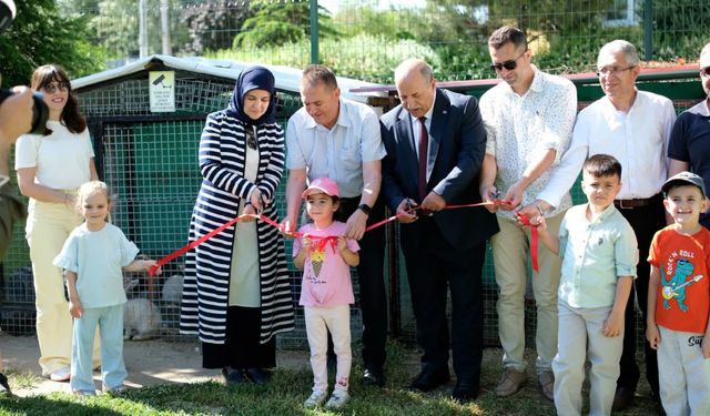 Anaokulunda yıl sonu şenliği ve hayvanat bahçesi açılışı yapıldı