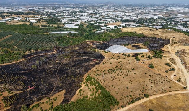 Antalya Aksu’da orman yangını: 10 Hektar alan zarar gördü