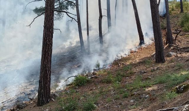 Antalya'da yıldırım düştü: Yangın söndürüldü