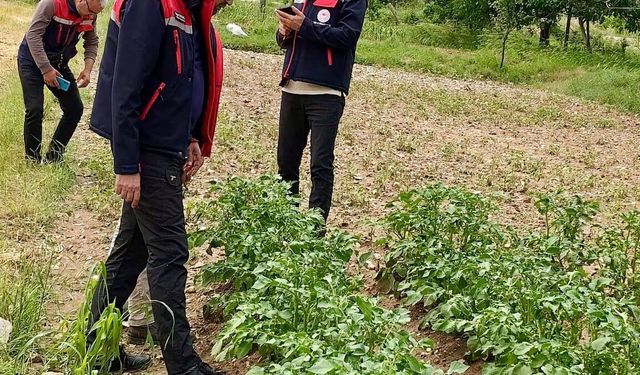 Dolu zararının tespiti için sahada inceleme