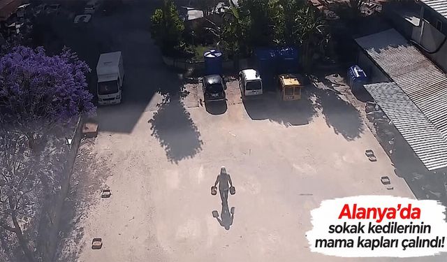 Alanya’da sokak kedilerinin mama kapları çalındı!