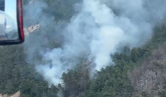 Antalya'da orman yangını havadan ve karadan müdahaleyle kontrol altına alındı