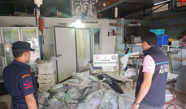 Antalya'da operasyon: 603 Kilogram yasadışı su ürünü ele geçirildi