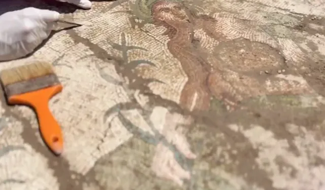 Aspendos'ta tarihi keşif... Eurymedon Nehri mozaiği gün yüzüne çıkarıldı