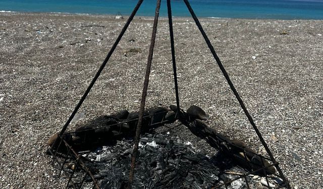 Deniz kaplumbağası koruma demirinin ortasında ateş yaktılar: İnceleme başlatıldı