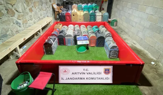 Horoz dövüştürenlere rekor ceza