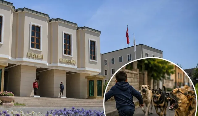 İçişleri'nden köpek saldırıları sonrası 3 belediye başkanı hakkında işlem..