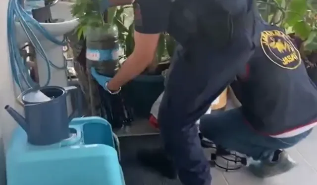 Jandarma'dan Antalya dahil 5 ilde uyu-şturucuya 341 gözaltı