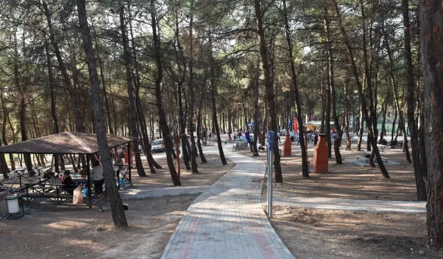 Ormanlara giriş yasağı 15 Ekim'e kadar sürecek