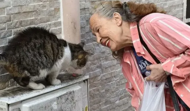 Sokak hayvanlarının 'Panter Emel'i hayatını kaybetti