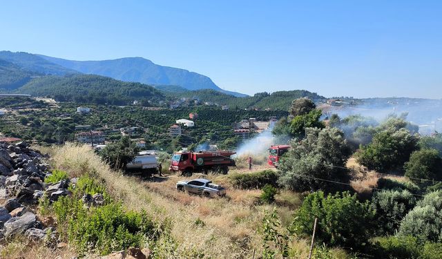 Alanya'da zirai alanda yangın: 1 dönüm zarar gördü