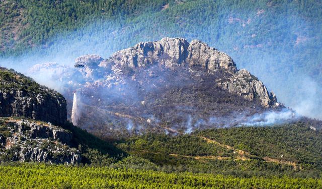 Alanya'da alevler rüzgarın etkisiyle farklı noktalardan yükseliyor