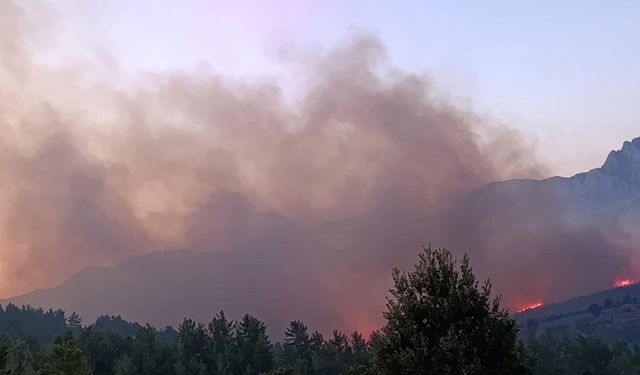 Alanya'da yangın Sapadere'den Fakırçalı Mahallesi'ne sıçradı
