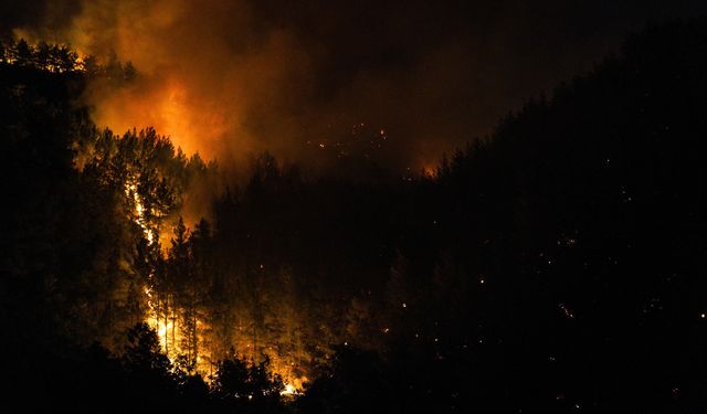 Alanya'da yangın bölgesinde 45 konut tahliye edildi
