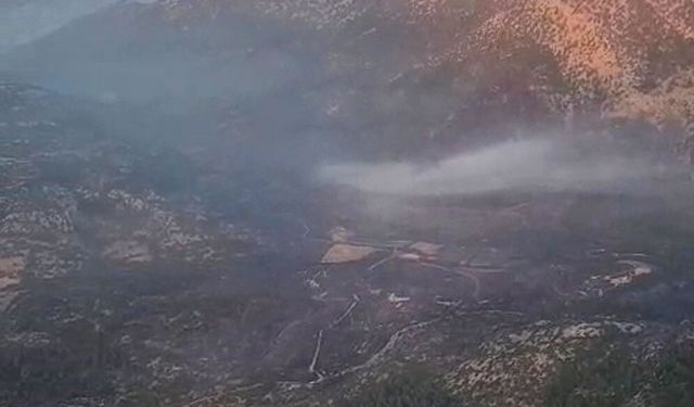 Antalya Akseki'deki orman yangınında 100 hektar alan zarar gördü