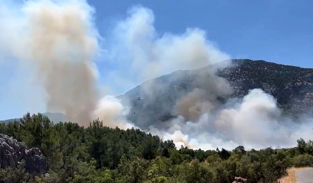 Antalya Akseki'de orman yangını çıktı