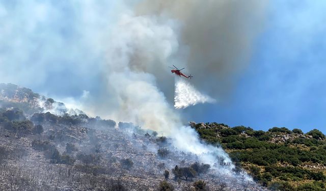 Antalya Demre orman yangını 3 saatte kontrol altına alındı
