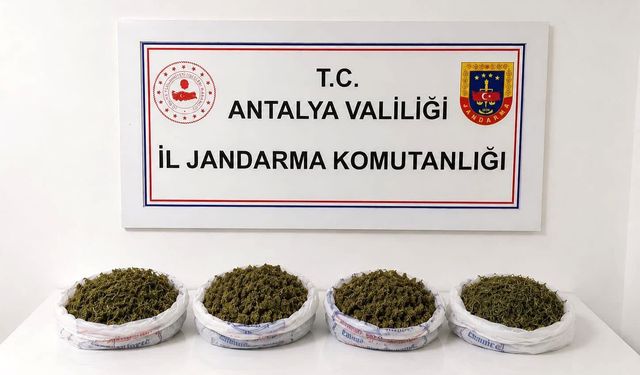 Alanya'da uyuşturucu operasyonu