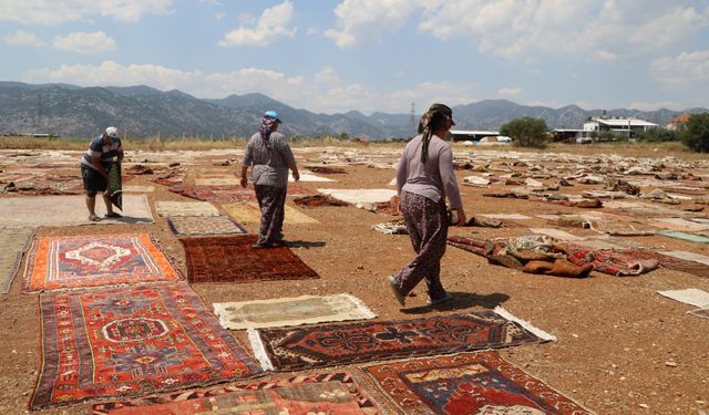 Antalya güneşinde soldurulan tarihi halılar, ABD ve Avrupa'da duvarları süslüyor