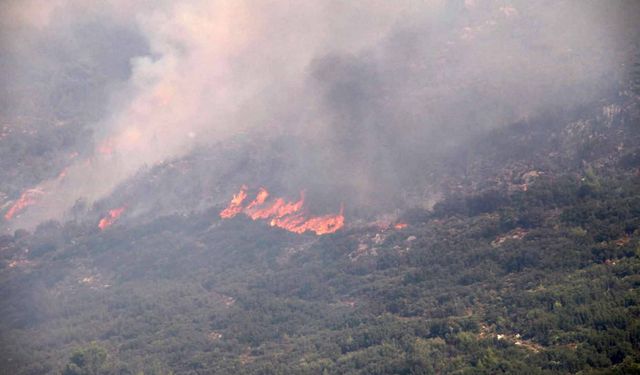Antalya'da 3 günde 8 ilçede 34 yangın çıktı