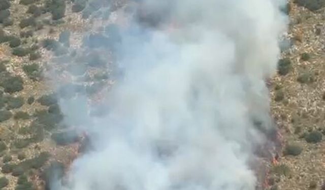 Antalya'da orman yangını