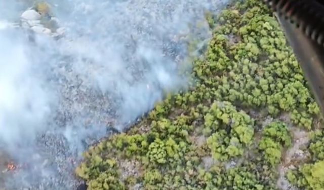 Antalya'da orman yangınına müdahale sürüyor
