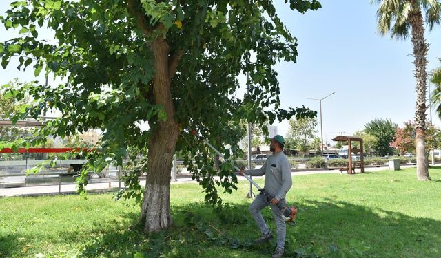 Sokaklardaki 'metruk' tehlikeye ince temizlik