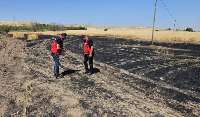 Tarım müdüründen yangın uyarısı