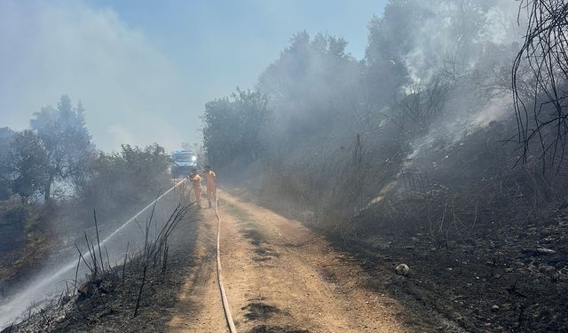 Yol kenarında başlayan yangın söndürüldü