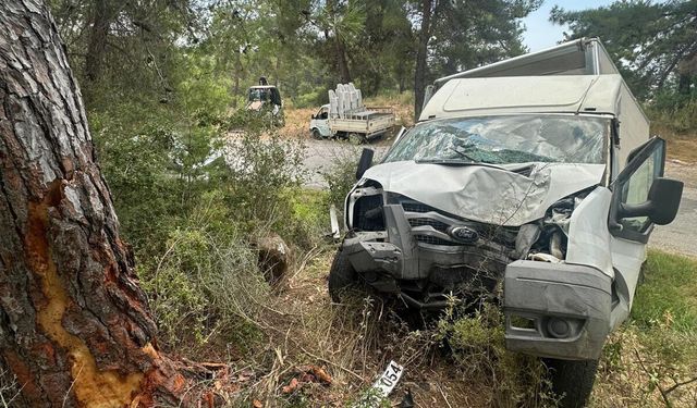 Alanya'da kamyonet ağaca çarptı: 1 ölü