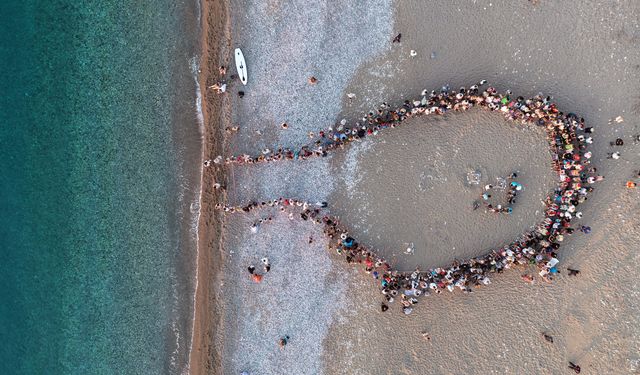 Çıralı sahilinde yavru deniz kaplumbağalarının zorlu yolculuğu başladı